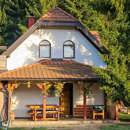 Nyaraló Vacation Miki