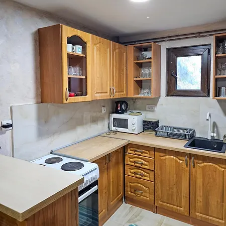 Vacation Miki Bajina Basta