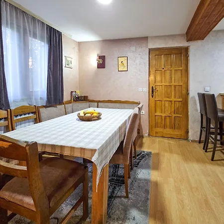 Vacation Miki Bajina Basta