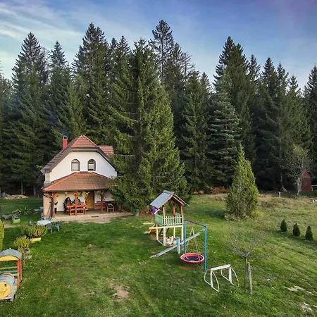 Vacation Miki Bajina Basta