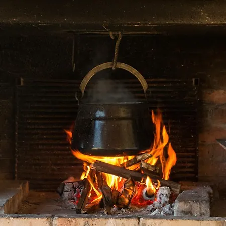 Vacation Miki Bajina Basta