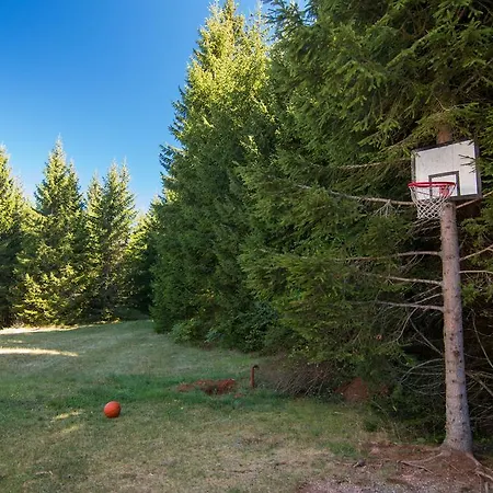 Vacation Miki Case de vacanță