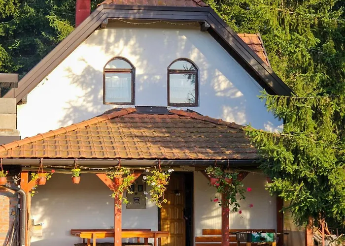 Casa vacanze Vacation Miki