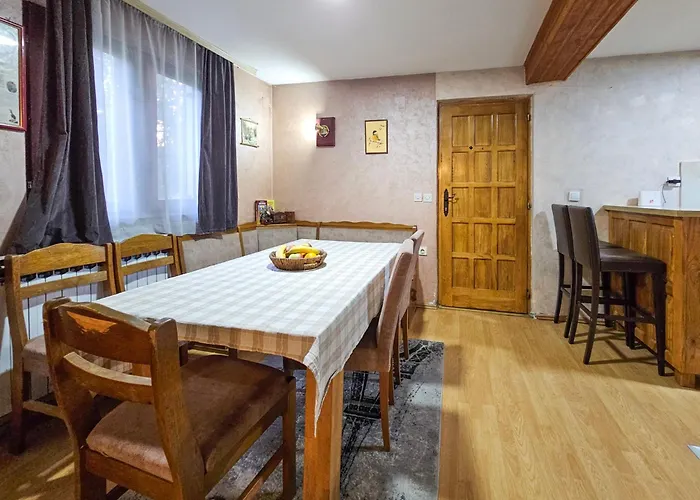 Vacation Miki Bajina Basta