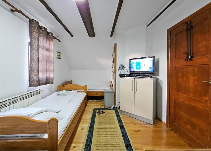 Vacation Miki Bajina Basta