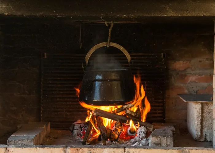 Vacation Miki Bajina Basta